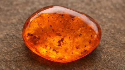 سنگ کهربا / Amber stone
