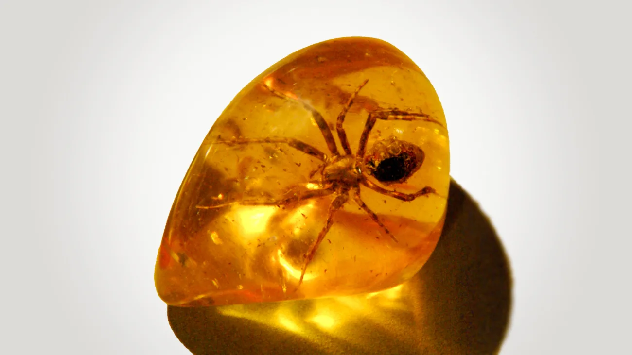 سنگ کهربا / Amber 4 سنگ کهربا / Amber stone