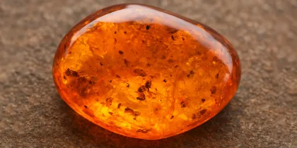 سنگ کهربا / Amber stone